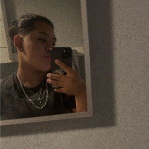 Meet your Posher, Dino